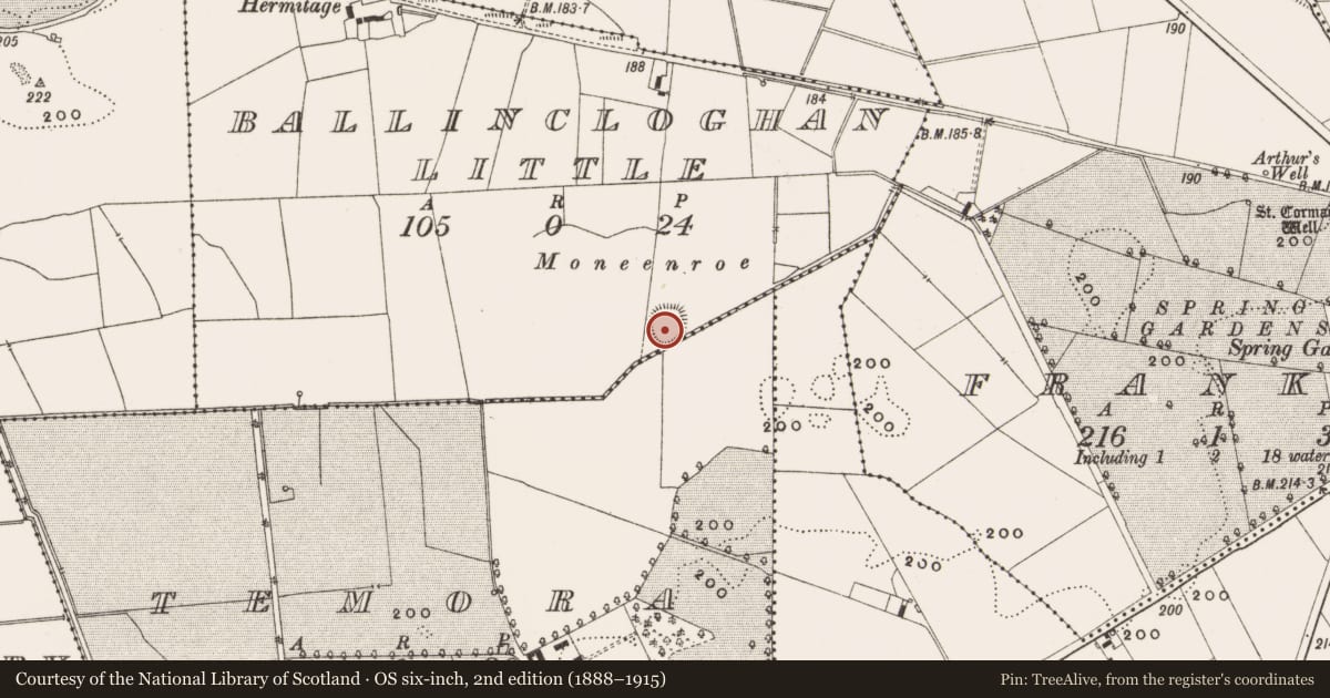 Ordnance Survey six-inch map, 2nd edition (1888–1915) covering the location of Enclosure, Ballincloghan Little, County Offaly, with a pin at the register's coordinates