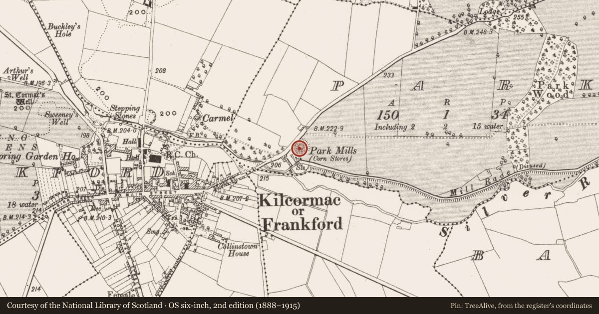 Ordnance Survey six-inch map, 2nd edition (1888–1915) covering the location of Mound, Park, County Offaly, with a pin at the register's coordinates