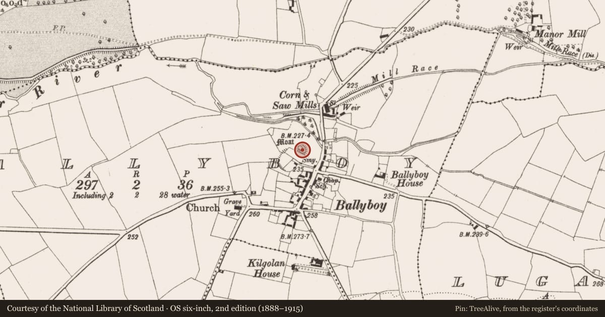 Ordnance Survey six-inch map, 2nd edition (1888–1915) covering the location of Castle - motte and bailey, Ballyboy, County Offaly, with a pin at the register's coordinates