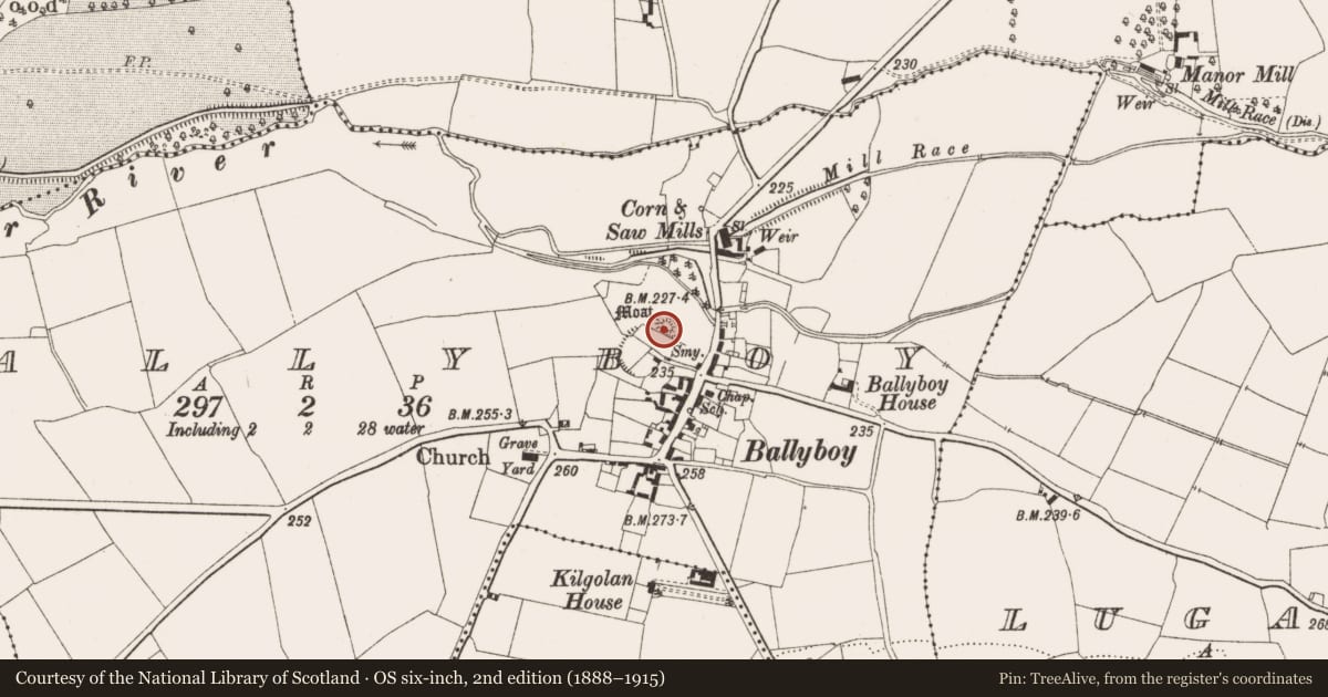 Ordnance Survey six-inch map, 2nd edition (1888–1915) covering the location of Settlement cluster, Ballyboy, County Offaly, with a pin at the register's coordinates