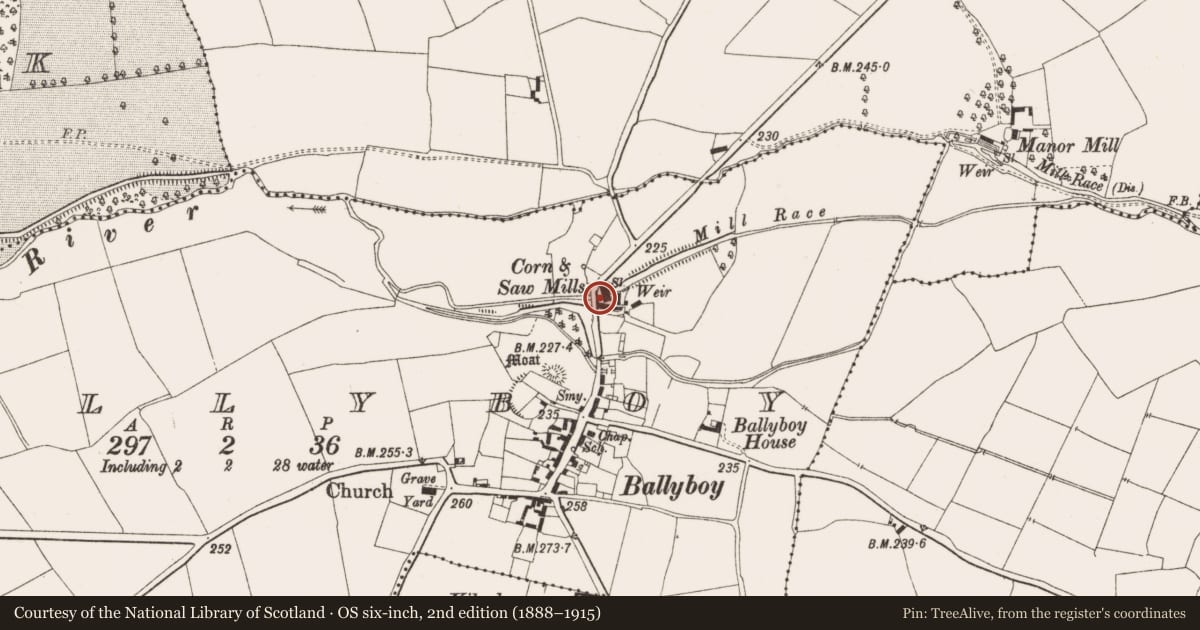 Ordnance Survey six-inch map, 2nd edition (1888–1915) covering the location of Stone head, Ballyboy, County Offaly, with a pin at the register's coordinates