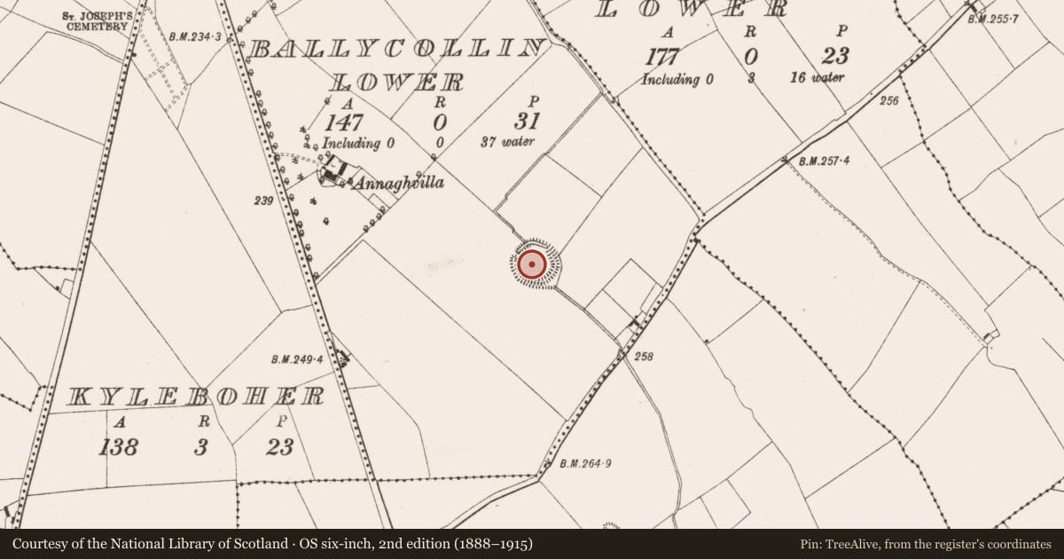 Ordnance Survey six-inch map, 2nd edition (1888–1915) covering the location of Ringfort - rath, Ballycollin Lower, County Offaly, with a pin at the register's coordinates