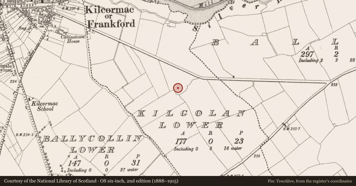 Ordnance Survey six-inch map, 2nd edition (1888–1915) covering the location of Enclosure, Kilgolan Lower, County Offaly, with a pin at the register's coordinates