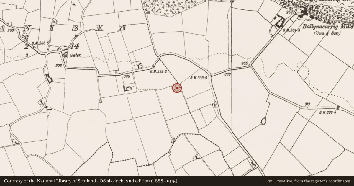 Ordnance Survey six-inch map, 2nd edition (1888–1915) covering the location of Earthwork, Ballynacarrig, Luganiska, County Offaly, with a pin at the register's coordinates