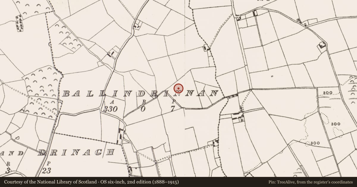 Ordnance Survey six-inch map, 2nd edition (1888–1915) covering the location of Enclosure, Ballindrinnan, County Offaly, with a pin at the register's coordinates