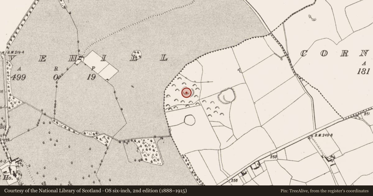 Ordnance Survey six-inch map, 2nd edition (1888–1915) covering the location of Enclosure, Lisduff, County Offaly, with a pin at the register's coordinates