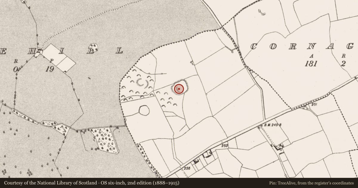 Ordnance Survey six-inch map, 2nd edition (1888–1915) covering the location of Enclosure, Lisduff, County Offaly, with a pin at the register's coordinates