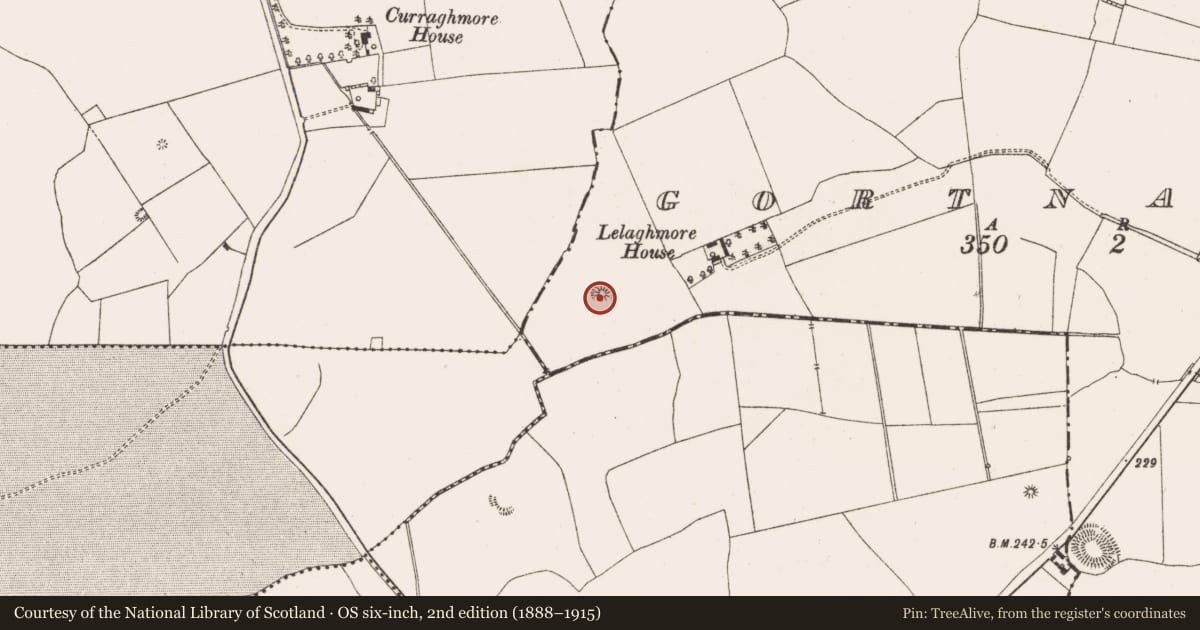 Ordnance Survey six-inch map, 2nd edition (1888–1915) covering the location of Enclosure, Gortnamuck, County Offaly, with a pin at the register's coordinates