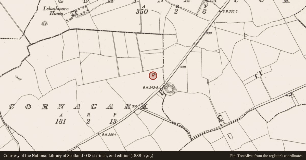Ordnance Survey six-inch map, 2nd edition (1888–1915) covering the location of Enclosure, Cornagark, County Offaly, with a pin at the register's coordinates