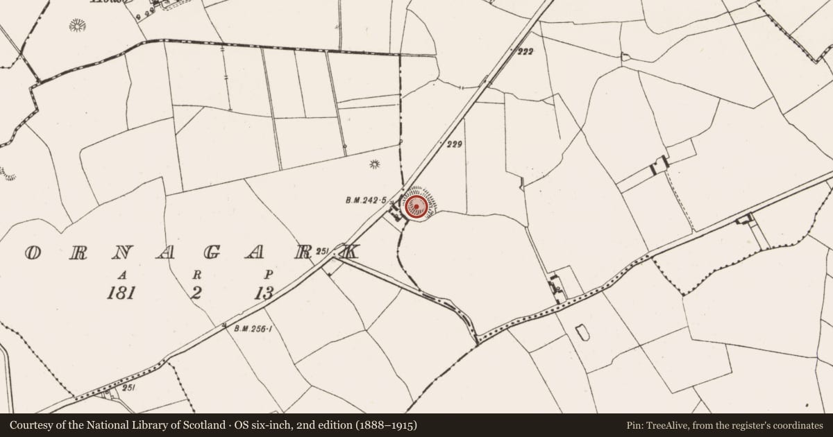 Ordnance Survey six-inch map, 2nd edition (1888–1915) covering the location of Ringfort - rath, Gortnamuck, County Offaly, with a pin at the register's coordinates