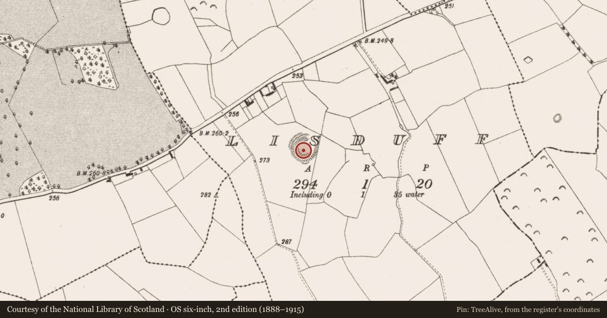 Ordnance Survey six-inch map, 2nd edition (1888–1915) covering the location of Ringfort - rath, Lisduff, County Offaly, with a pin at the register's coordinates