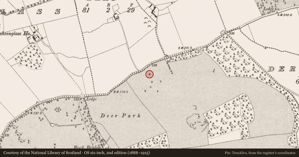 Ordnance Survey six-inch map, 2nd edition (1888–1915) covering the location of Enclosure, Thomastown Demesne, County Offaly, with a pin at the register's coordinates