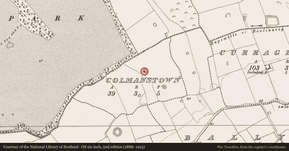 Ordnance Survey six-inch map, 2nd edition (1888–1915) covering the location of Enclosure, Colmanstown, County Offaly, with a pin at the register's coordinates