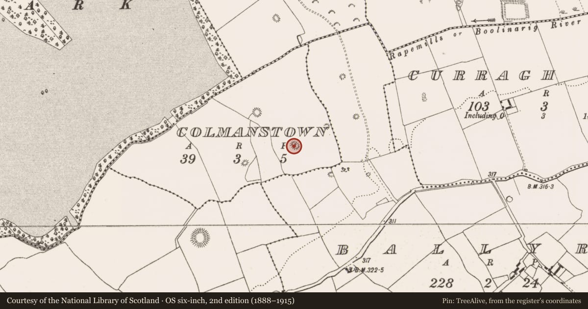 Ordnance Survey six-inch map, 2nd edition (1888–1915) covering the location of Enclosure, Colmanstown, County Offaly, with a pin at the register's coordinates