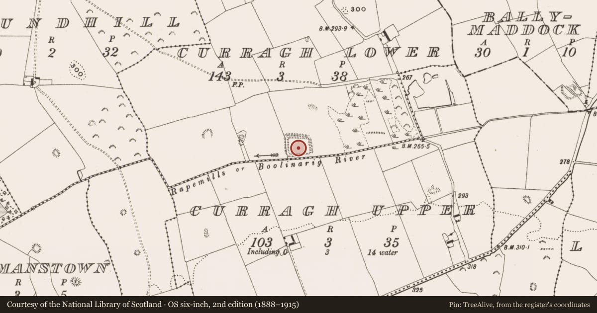 Ordnance Survey six-inch map, 2nd edition (1888–1915) covering the location of Moated site, Curragh Lower, County Offaly, with a pin at the register's coordinates