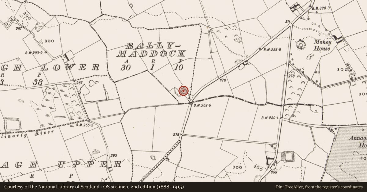 Ordnance Survey six-inch map, 2nd edition (1888–1915) covering the location of Moated site, Ballymaddock, County Offaly, with a pin at the register's coordinates