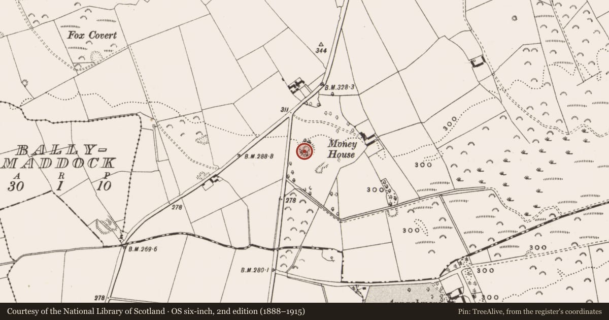 Ordnance Survey six-inch map, 2nd edition (1888–1915) covering the location of Designed landscape - tree-ring, Money, County Offaly, with a pin at the register's coordinates