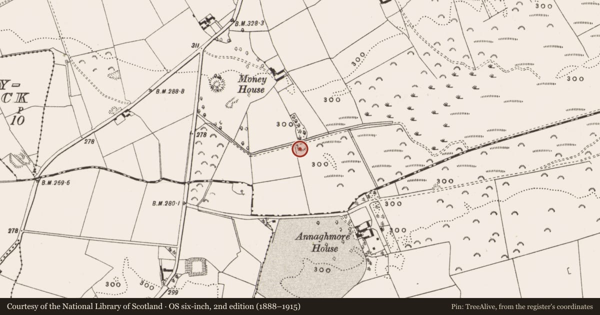 Ordnance Survey six-inch map, 2nd edition (1888–1915) covering the location of Ringfort - unclassified, Money, County Offaly, with a pin at the register's coordinates