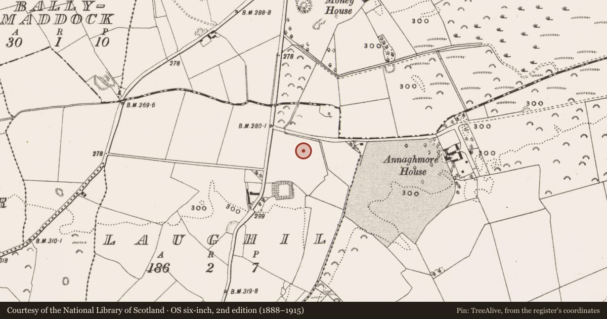 Ordnance Survey six-inch map, 2nd edition (1888–1915) covering the location of Enclosure, Laughil, County Offaly, with a pin at the register's coordinates
