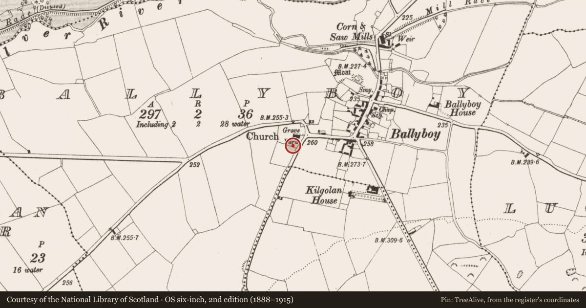 Ordnance Survey six-inch map, 2nd edition (1888–1915) covering the location of Cross-inscribed stone, Ballyboy, County Offaly, with a pin at the register's coordinates