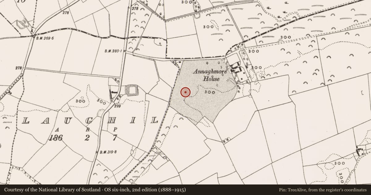 Ordnance Survey six-inch map, 2nd edition (1888–1915) covering the location of Enclosure, Annaghmore And Annaghbeg, County Offaly, with a pin at the register's coordinates