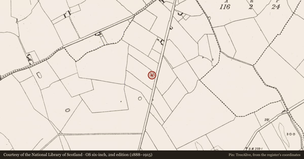 Ordnance Survey six-inch map, 2nd edition (1888–1915) covering the location of Mound, Money, County Offaly, with a pin at the register's coordinates
