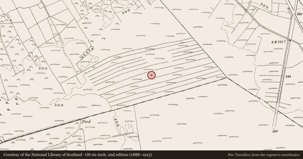 Ordnance Survey six-inch map, 2nd edition (1888–1915) covering the location of Structure - peatland, Money, County Offaly, with a pin at the register's coordinates