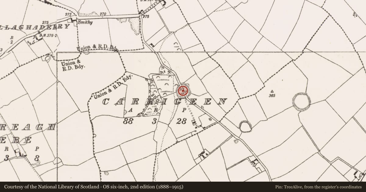Ordnance Survey six-inch map, 2nd edition (1888–1915) covering the location of Ringfort - rath, Carrigeen, County Offaly, with a pin at the register's coordinates