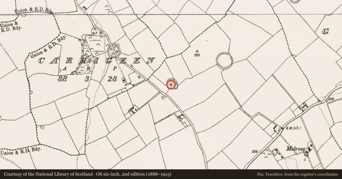 Ordnance Survey six-inch map, 2nd edition (1888–1915) covering the location of Ringfort - rath, Cappagowlan, County Offaly, with a pin at the register's coordinates