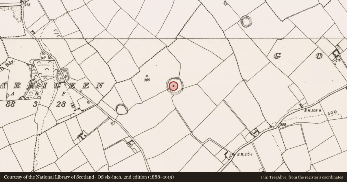 Ordnance Survey six-inch map, 2nd edition (1888–1915) covering the location of Ringfort - rath, Cappagowlan, County Offaly, with a pin at the register's coordinates