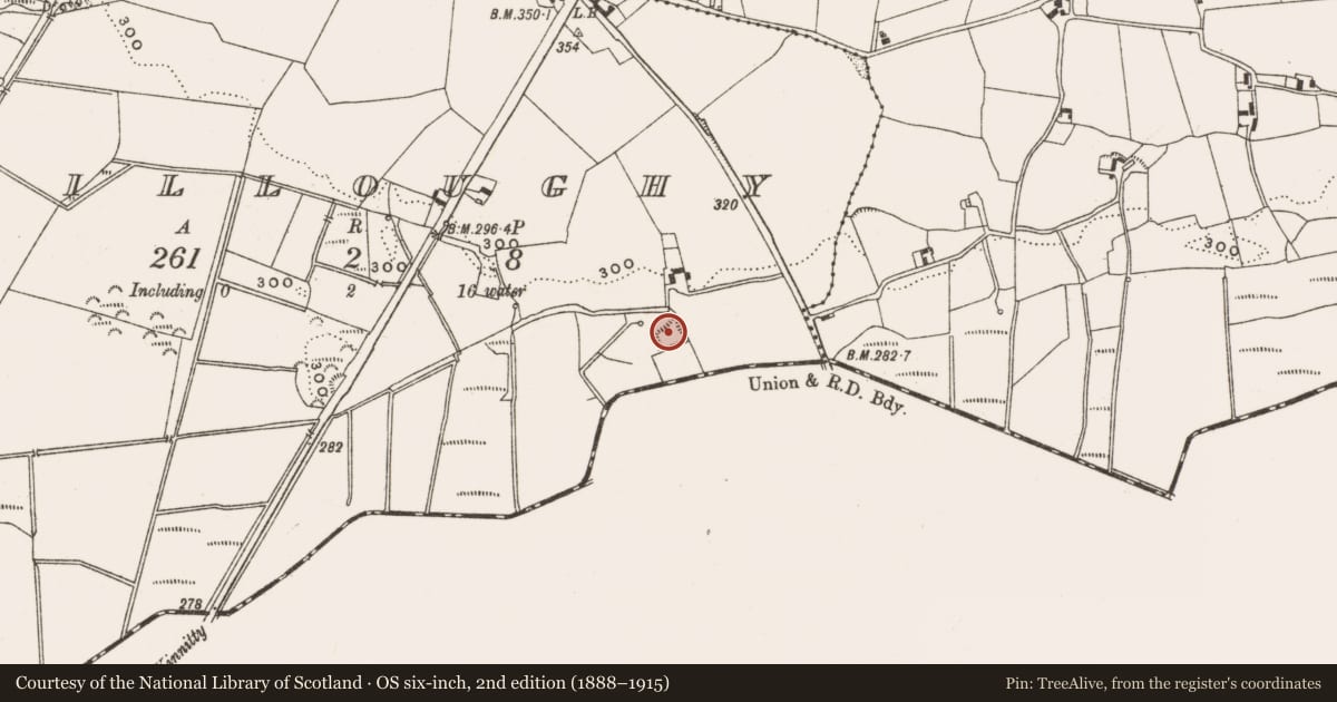 Ordnance Survey six-inch map, 2nd edition (1888–1915) covering the location of Moated site, Killoughy, County Offaly, with a pin at the register's coordinates