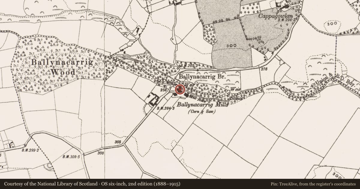Ordnance Survey six-inch map, 2nd edition (1888–1915) covering the location of Water mill - unclassified, Ballynacarrig, Cappagowlan, County Offaly, with a pin at the register's coordinates