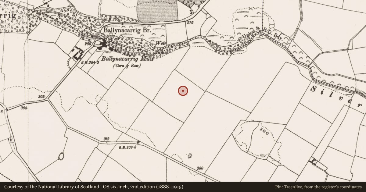 Ordnance Survey six-inch map, 2nd edition (1888–1915) covering the location of Enclosure, Ballynacarrig, County Offaly, with a pin at the register's coordinates