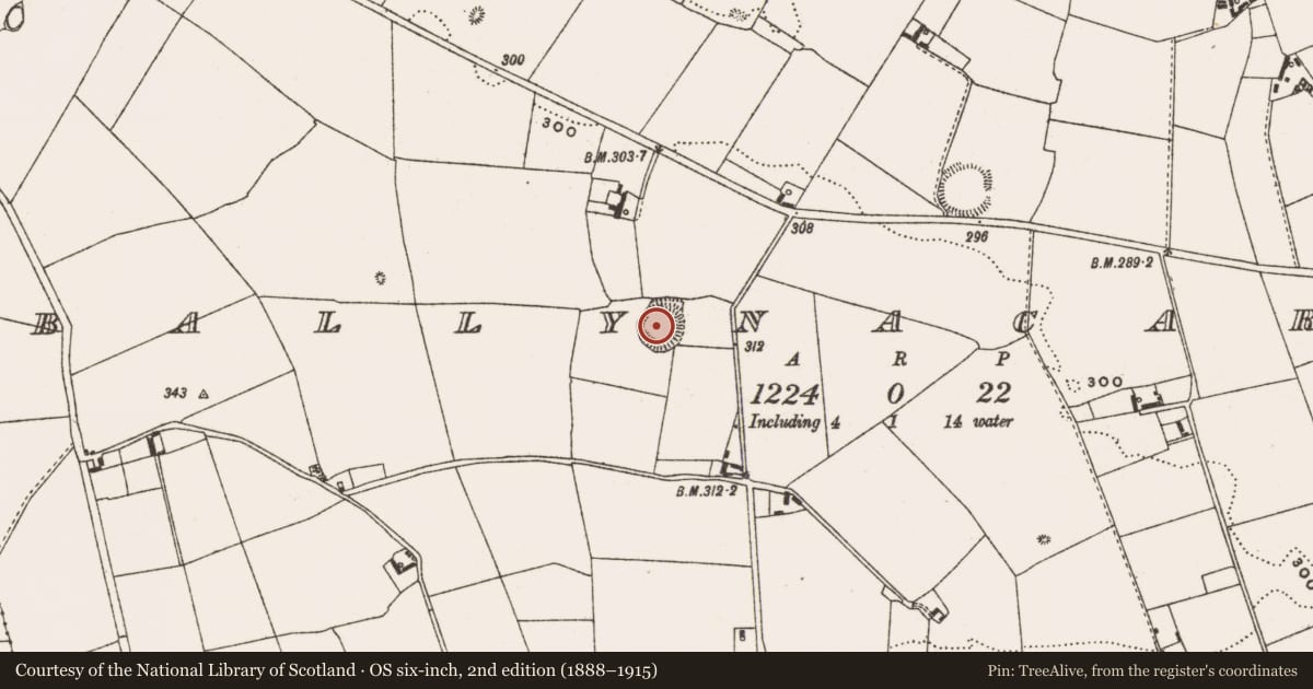 Ordnance Survey six-inch map, 2nd edition (1888–1915) covering the location of Ringfort - rath, Ballynacarrig, County Offaly, with a pin at the register's coordinates