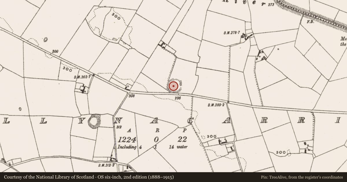 Ordnance Survey six-inch map, 2nd edition (1888–1915) covering the location of Ringfort - rath, Ballynacarrig, County Offaly, with a pin at the register's coordinates