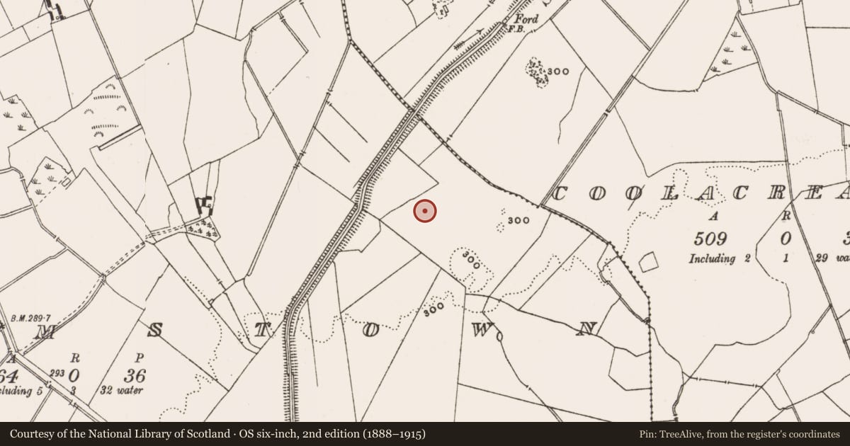 Ordnance Survey six-inch map, 2nd edition (1888–1915) covering the location of Enclosure, Cadamstown, County Offaly, with a pin at the register's coordinates