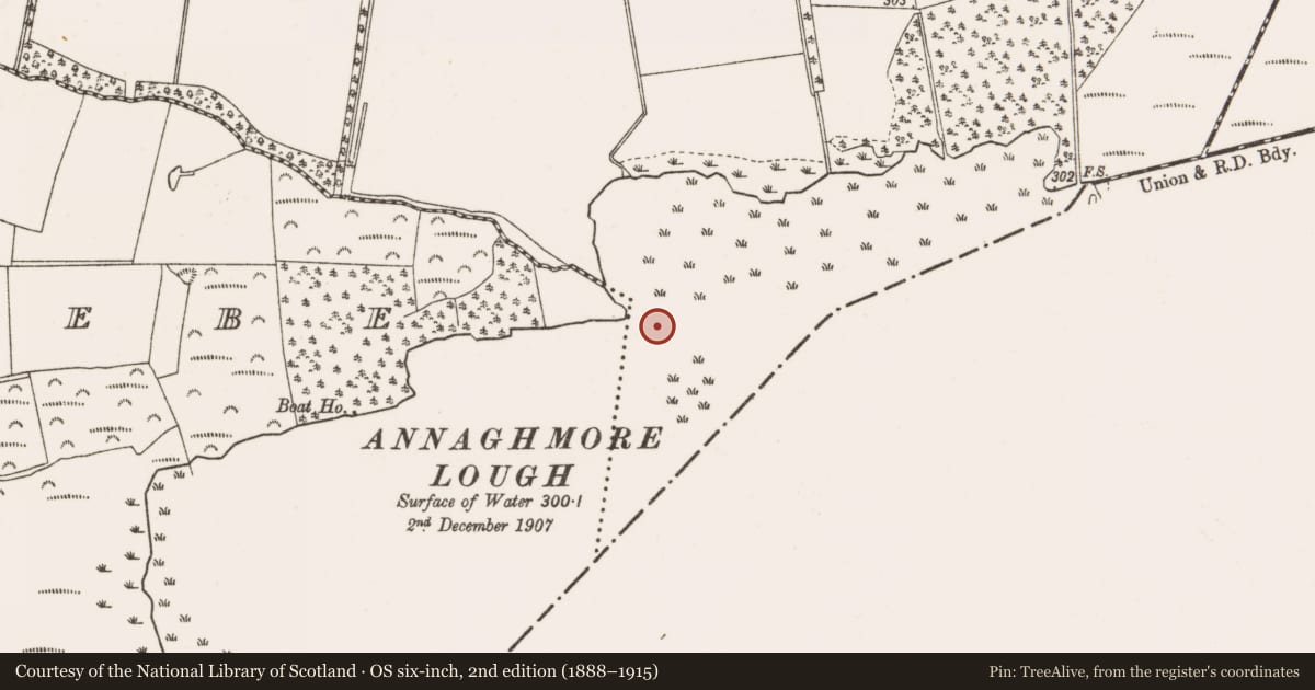 Ordnance Survey six-inch map, 2nd edition (1888–1915) covering the location of Castle - unclassified, Annaghmore, County Offaly, with a pin at the register's coordinates