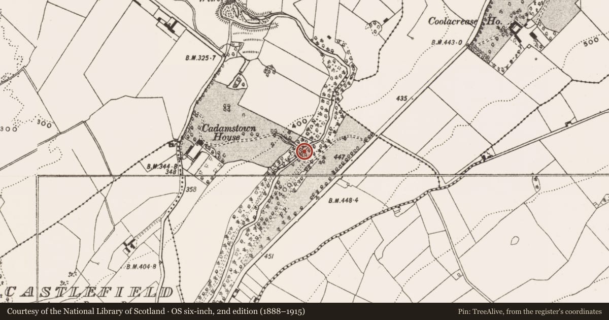 Ordnance Survey six-inch map, 2nd edition (1888–1915) covering the location of Bridge, Cadamstown, County Offaly, with a pin at the register's coordinates