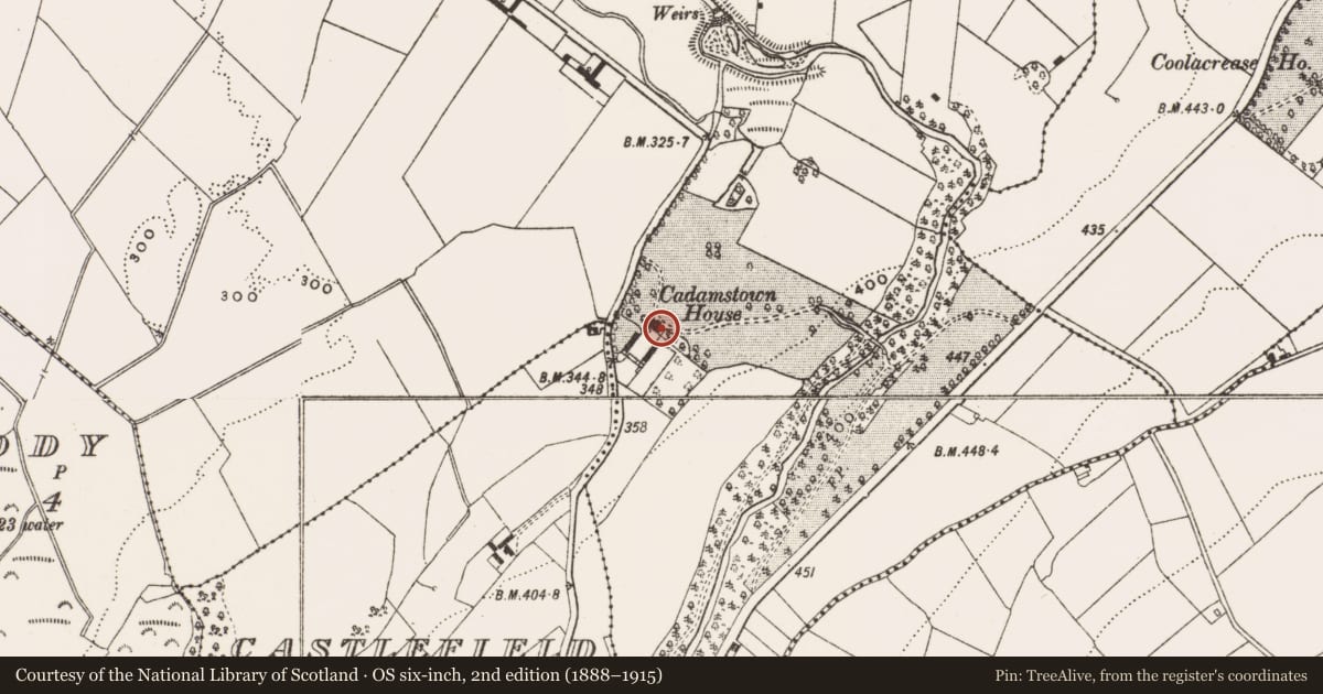 Ordnance Survey six-inch map, 2nd edition (1888–1915) covering the location of House - 16th/17th century, Castlefield, County Offaly, with a pin at the register's coordinates
