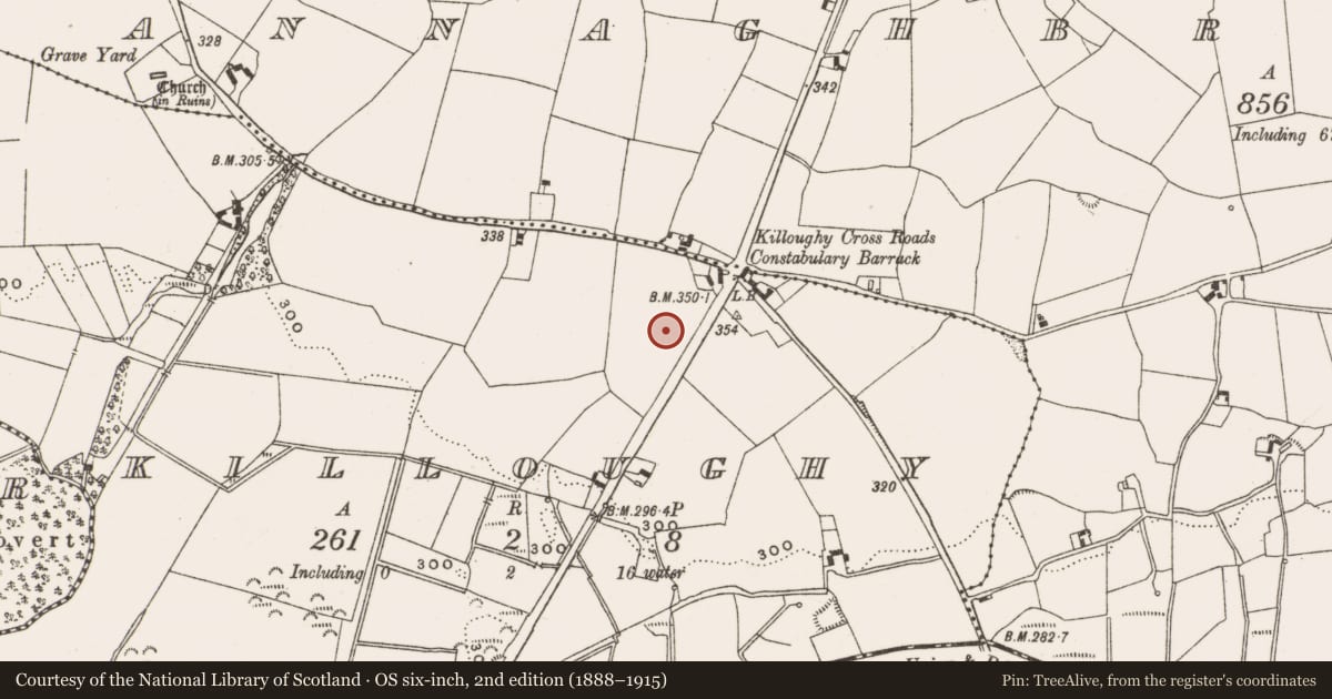 Ordnance Survey six-inch map, 2nd edition (1888–1915) covering the location of Enclosure, Killoughy, County Offaly, with a pin at the register's coordinates