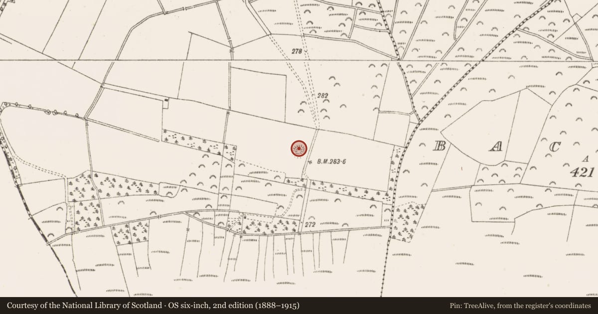 Ordnance Survey six-inch map, 2nd edition (1888–1915) covering the location of Mound, Ballymacrossan, County Offaly, with a pin at the register's coordinates