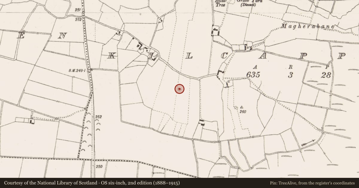 Ordnance Survey six-inch map, 2nd edition (1888–1915) covering the location of Earthwork, Kilcappagh, County Offaly, with a pin at the register's coordinates