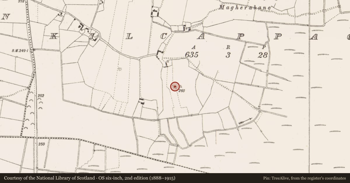 Ordnance Survey six-inch map, 2nd edition (1888–1915) covering the location of Earthwork, Kilcappagh, County Offaly, with a pin at the register's coordinates