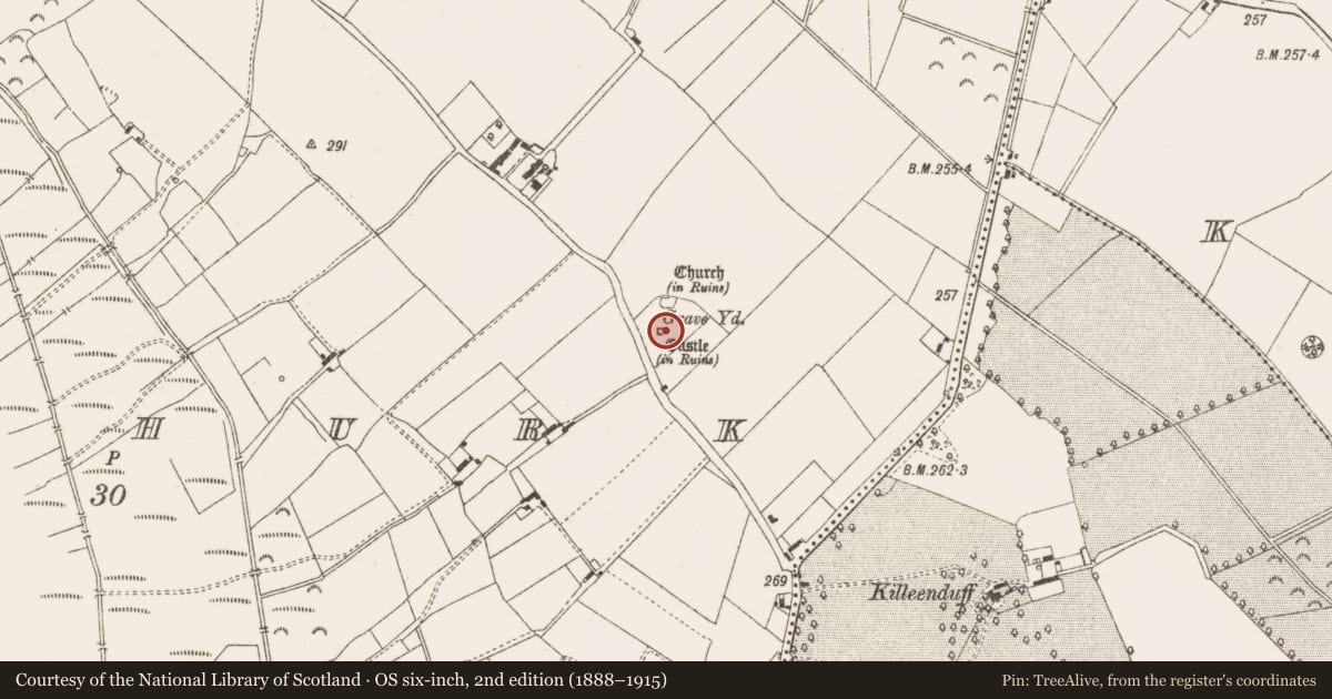 Ordnance Survey six-inch map, 2nd edition (1888–1915) covering the location of Castle - tower house, Clonyhurk, County Offaly, with a pin at the register's coordinates