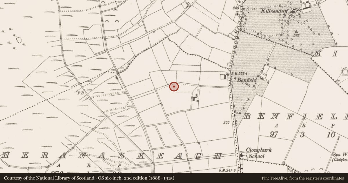 Ordnance Survey six-inch map, 2nd edition (1888–1915) covering the location of Enclosure, Magheranaskeagh, County Offaly, with a pin at the register's coordinates