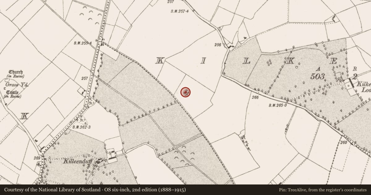 Ordnance Survey six-inch map, 2nd edition (1888–1915) covering the location of Designed landscape - tree-ring, Kilkeeran, County Offaly, with a pin at the register's coordinates