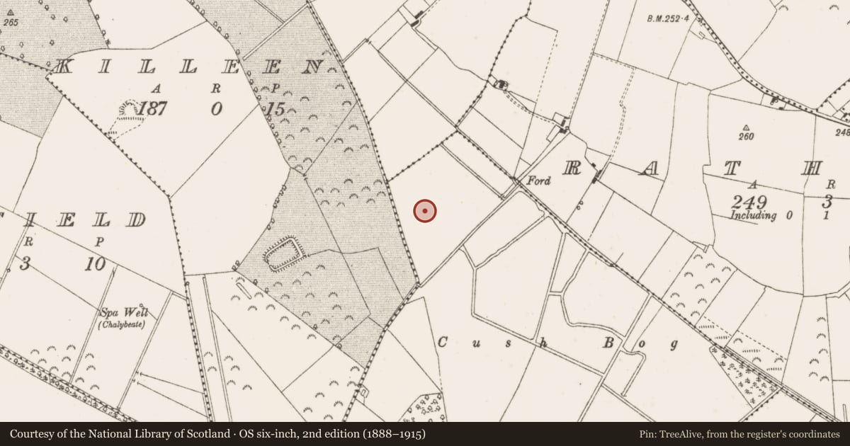 Ordnance Survey six-inch map, 2nd edition (1888–1915) covering the location of Enclosure, Garryhinch, County Offaly, with a pin at the register's coordinates
