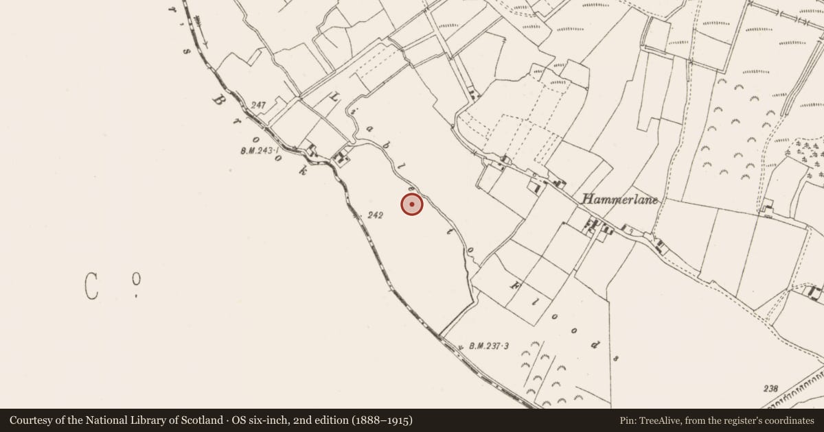 Ordnance Survey six-inch map, 2nd edition (1888–1915) covering the location of Enclosure, Barranaghs, County Offaly, with a pin at the register's coordinates