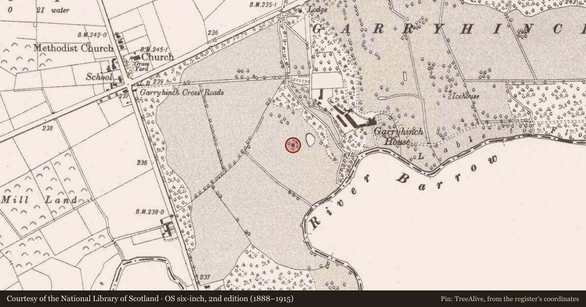 Ordnance Survey six-inch map, 2nd edition (1888–1915) covering the location of Designed landscape - tree-ring, Garryhinch, County Offaly, with a pin at the register's coordinates