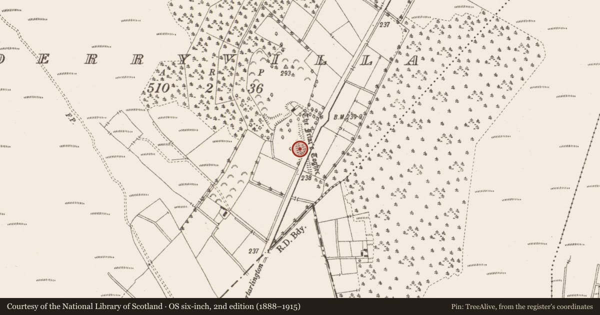 Ordnance Survey six-inch map, 2nd edition (1888–1915) covering the location of Road - unclassified togher, Derryvilla, County Offaly, with a pin at the register's coordinates